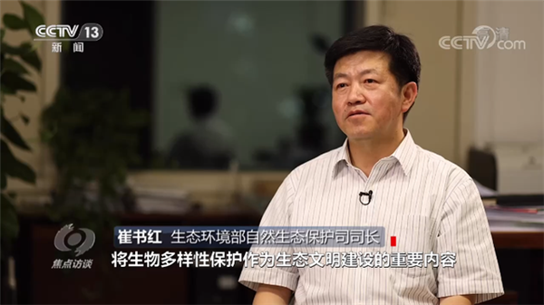 1623115827596400.png 7.png