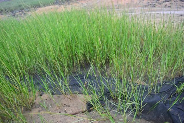 1639641838658776.jpg e61190ef76c6a7efaecba754849dd658f2de6647.jpg